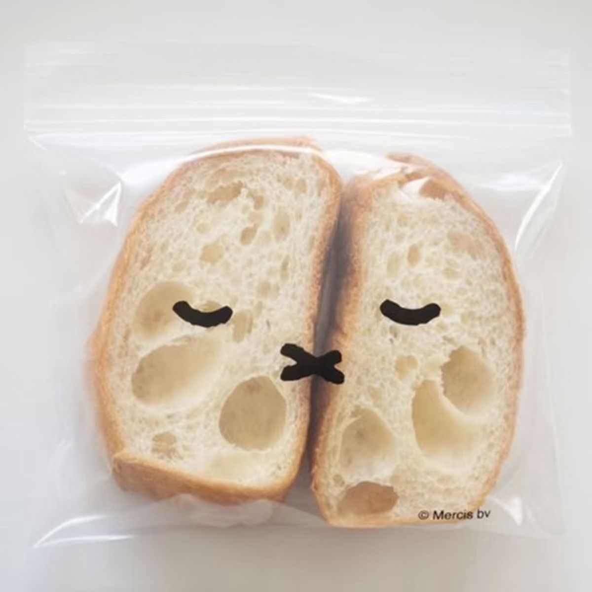 Sac de conservation des alimen - Food Storage With Dividers avis et prix